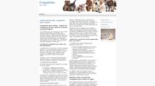 croquettes pour chiens