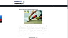 Décapeurs thermique