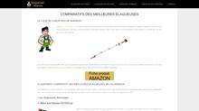 Meilleure élagueuse sur batterie