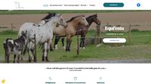 Des constellations familiales et systémiques chez Equi'estu