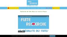 entreprise de détection de fuite 