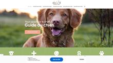 Découvrez le Guide du chien
