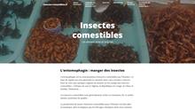 insectes comestibles