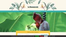 Location gite Martinique