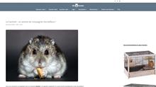 mon-hamster.fr