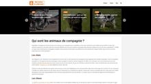 tout sur les animaux de compagnie