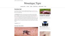 Moustiques tigres