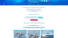 Observationdauphins.com