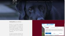 Soins d’ostéopathie pour animaux domestiques en Suisse