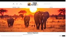 L'Essence de l'Éléphant chez Paradis Éléphant
