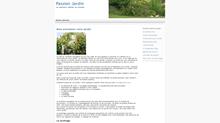 entretenir le jardin