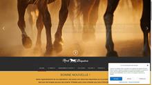 Elevage de vaches limousines et accueil de chevaux