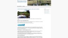 presentation de la phyto epuration