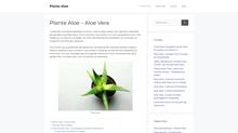 Plante aloe