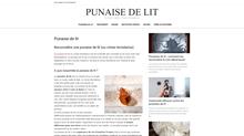 Punaise de lit