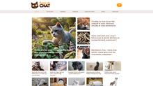 Voir le site