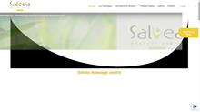 Formation massage dos Belgique