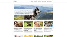 Toutoumag.com