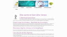 vaneo