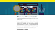 your seo