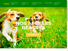 infos sur le beagles