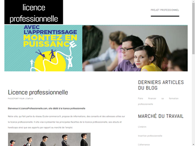 licence professionnelle