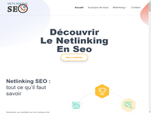 Netlinking Seo